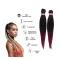 Afro ombre szintetikus 100% kanekalon haj 160g 60cm - T1B/BG