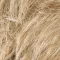 Színkód: sand mix 14.20.26