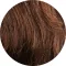 Chestnut