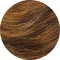 ginger brown light