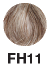 FH11