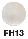 FH13