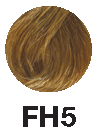 FH5